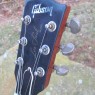 Gibson Les Paul Goldtop